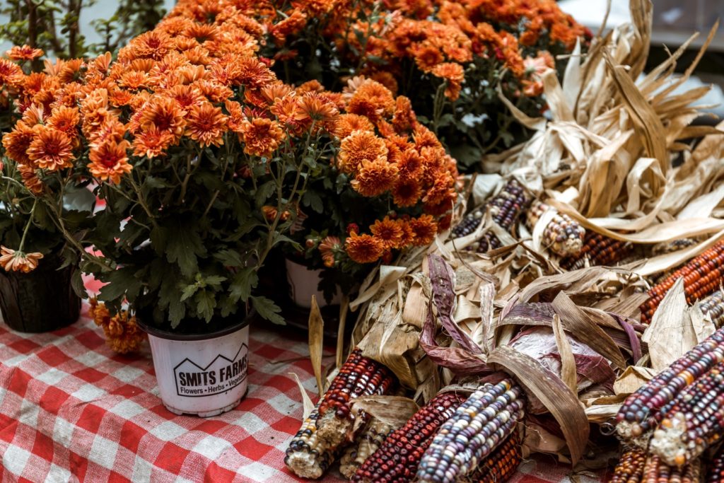 Orange flower and dried ornamental corn.