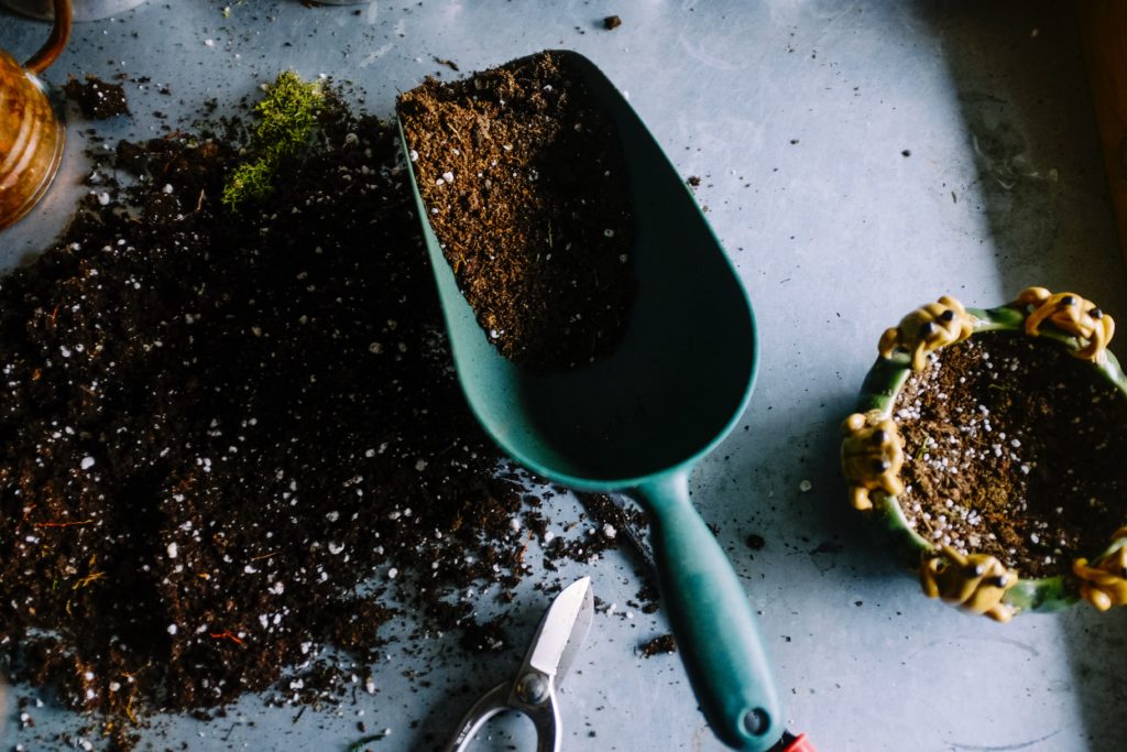 Gardening tips for April: amend your soil with a good compost.