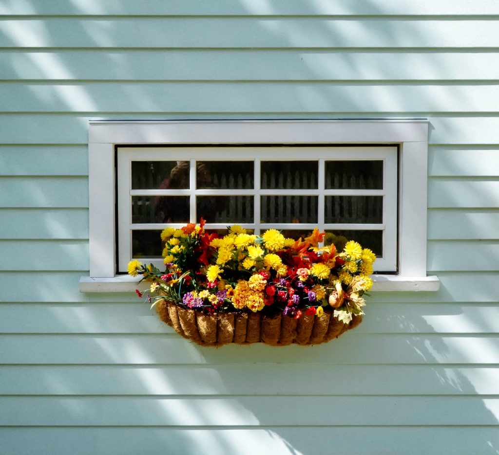 Window flower basket. Gardening Tip for June: make sure to "deadhead" your flowers to extend their life.