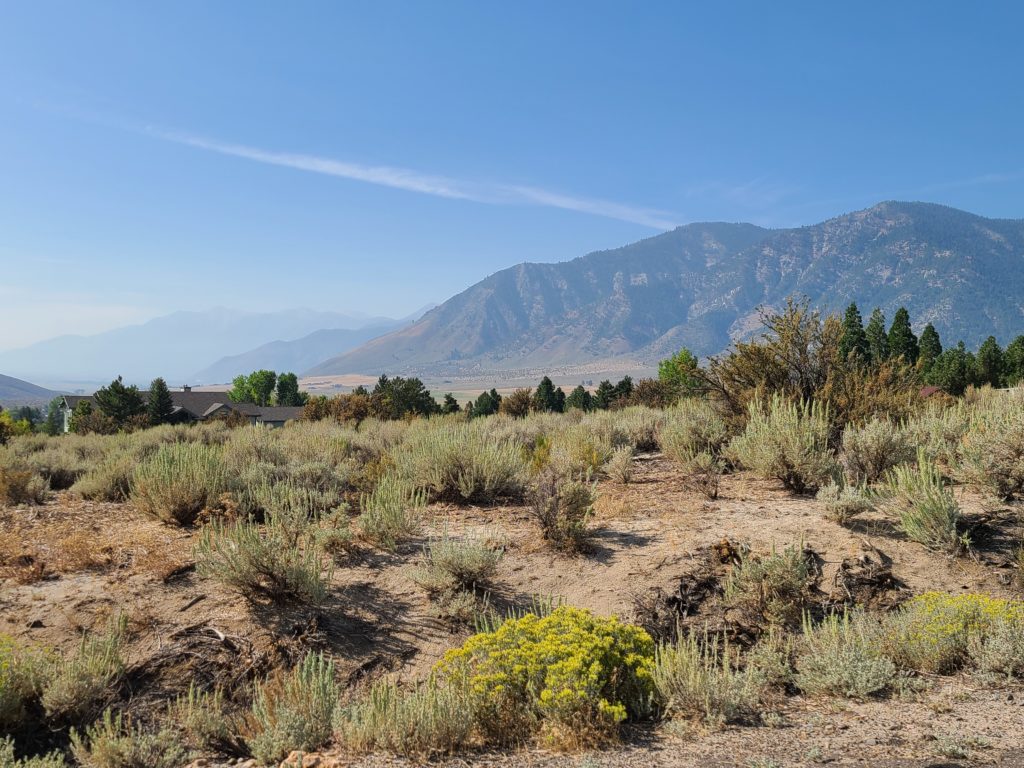 View of lot #27 showing sagebrush and mountain views